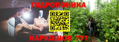ECSTASY Гудермес