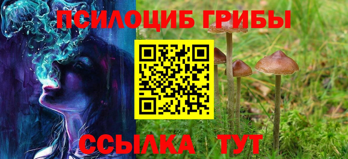Галлюциногенные грибы ЛСД Асино