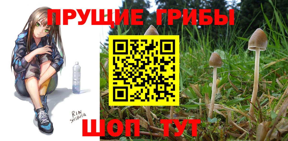 наркота  Галлюциногенные грибы мухоморы  Вход с VPN  Асино 